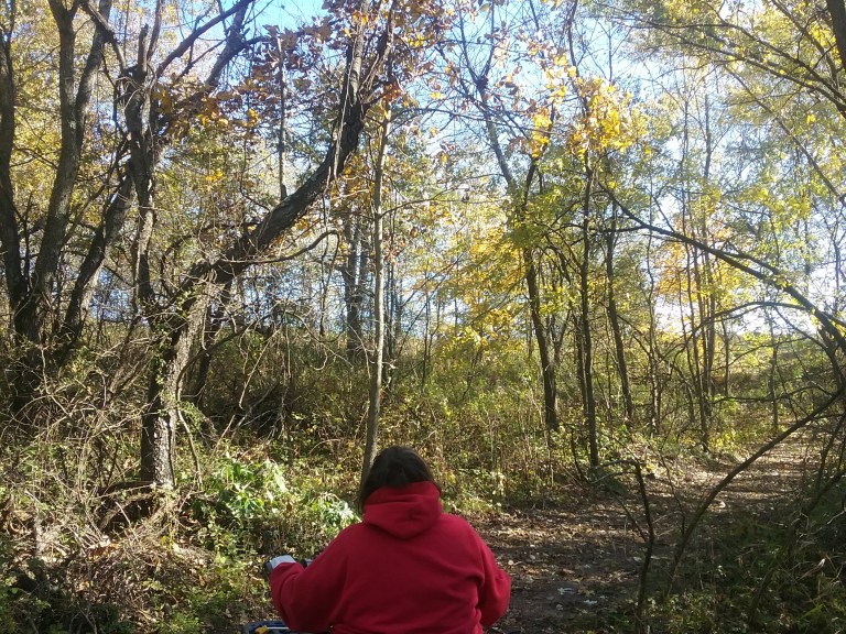 Photo Gallery – Bare Acres Retreat